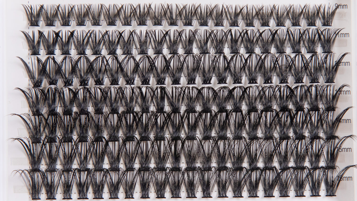 DIY Lash Cluster Kit