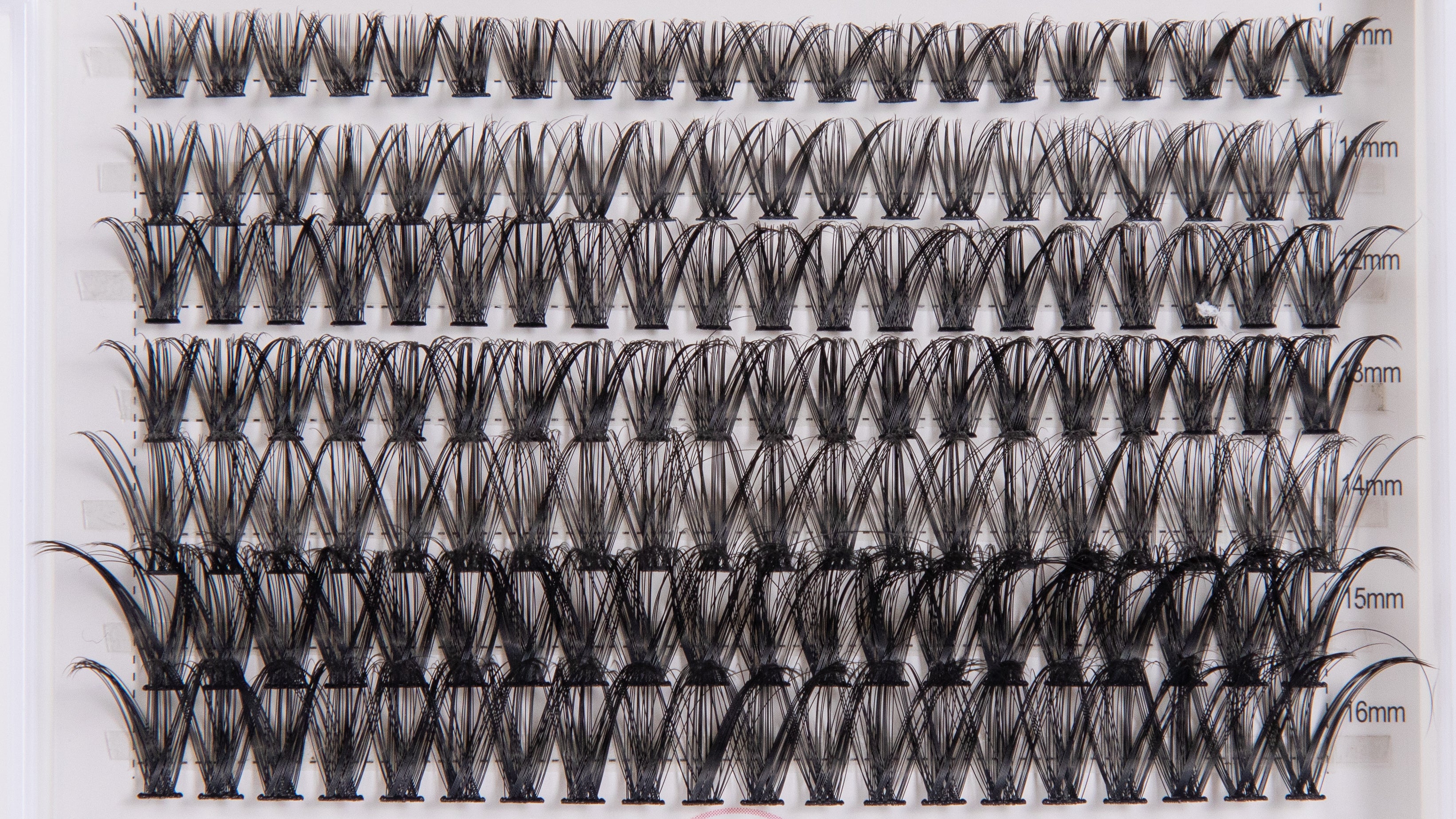 DIY Lash Cluster Kit