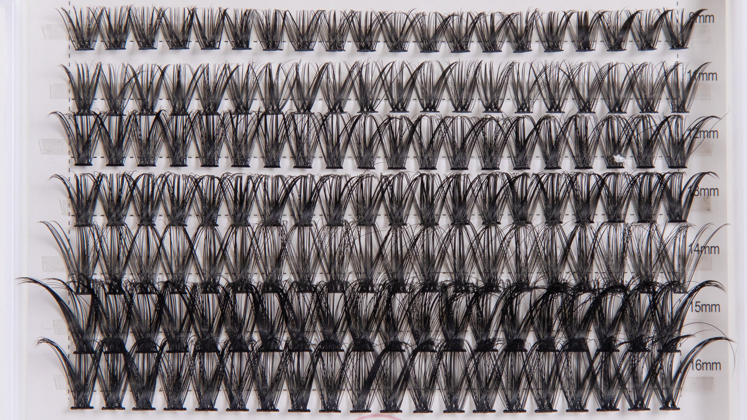DIY Lash Cluster Kit