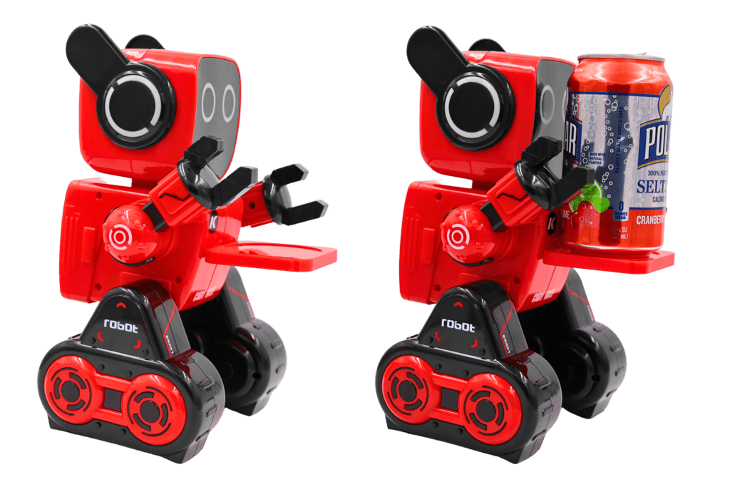 CADY WILE Butler Robot