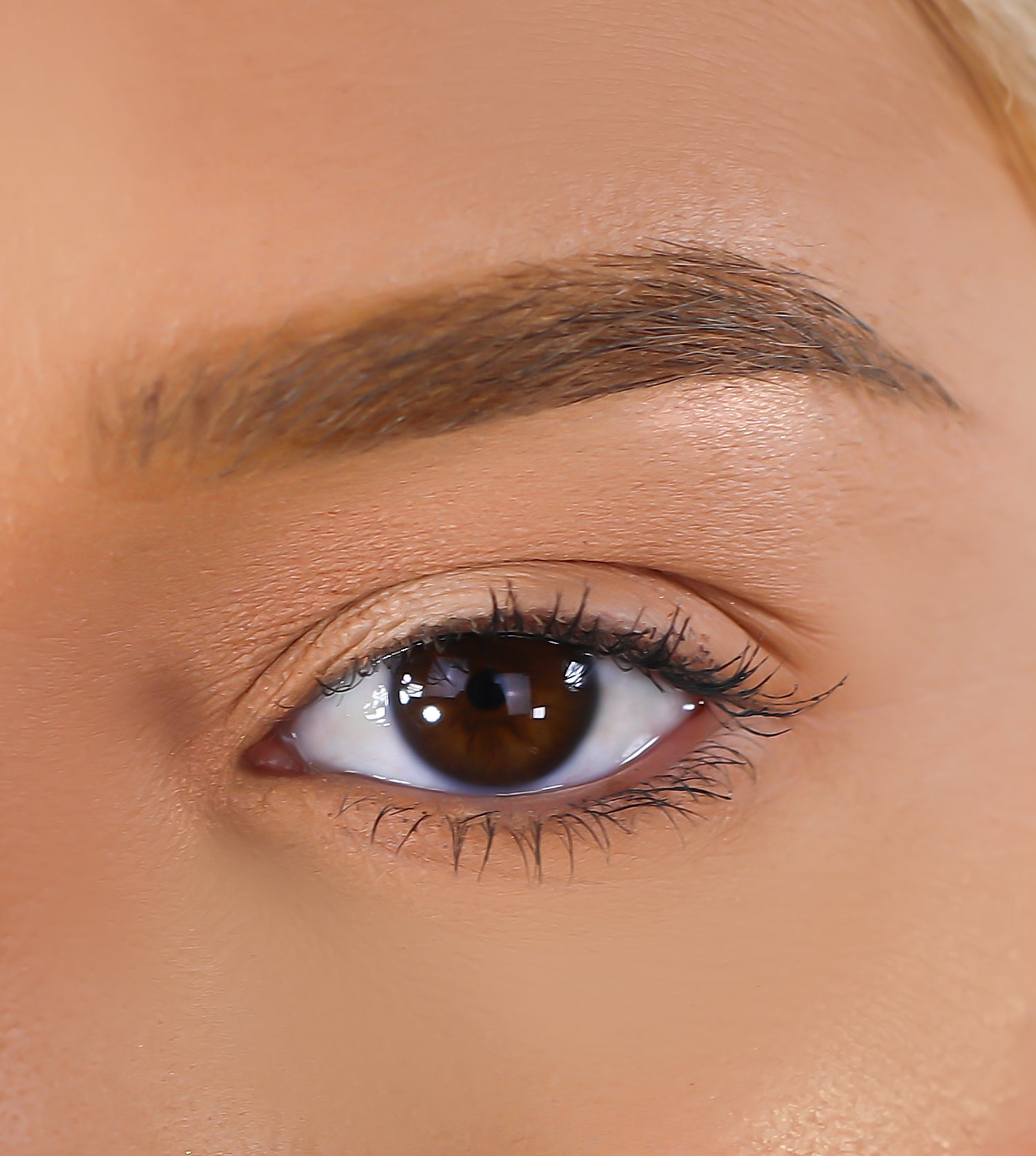 3D Mink - Games - Lurella Cosmetics