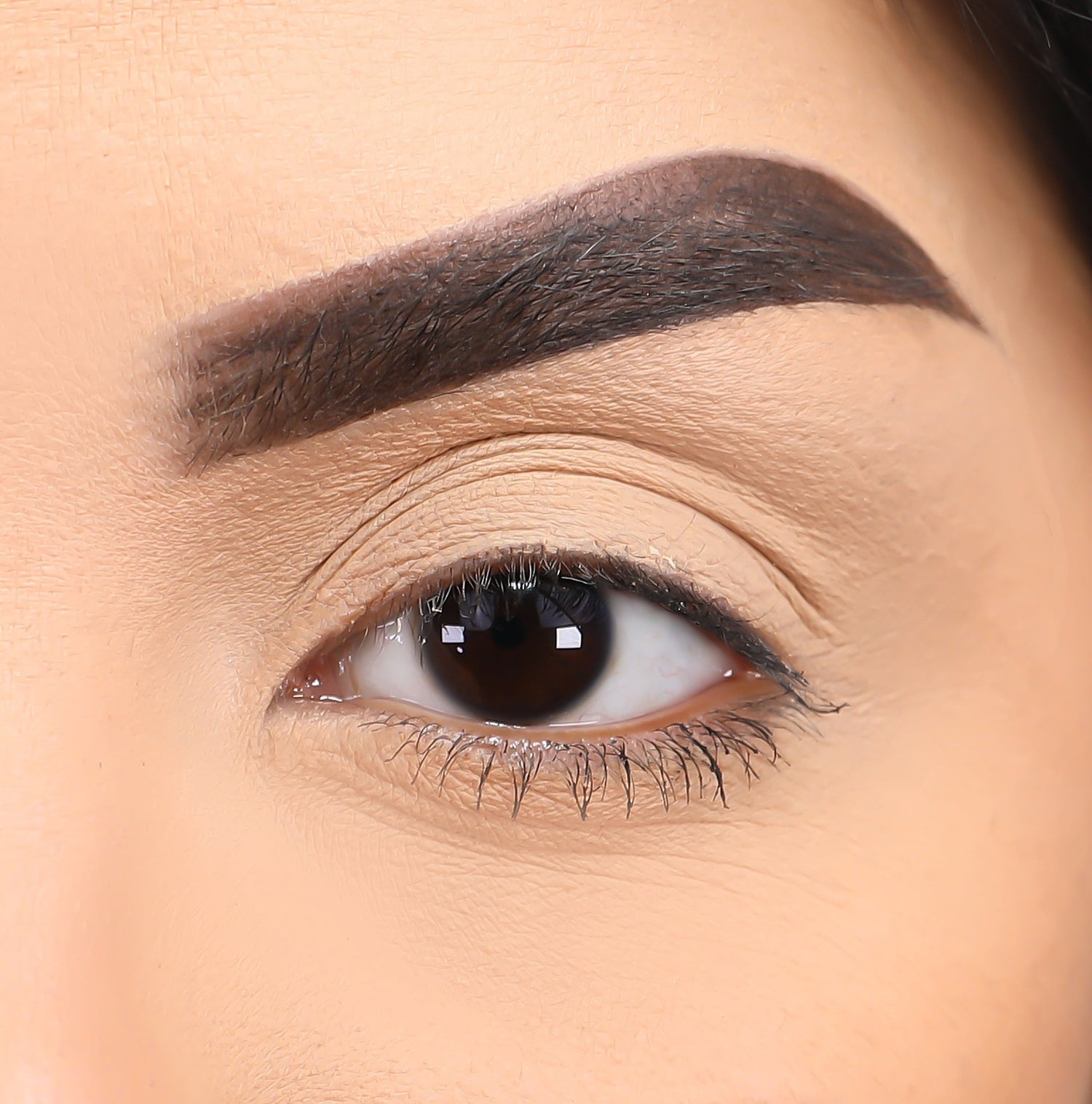 3D Mink - Thief - Lurella Cosmetics