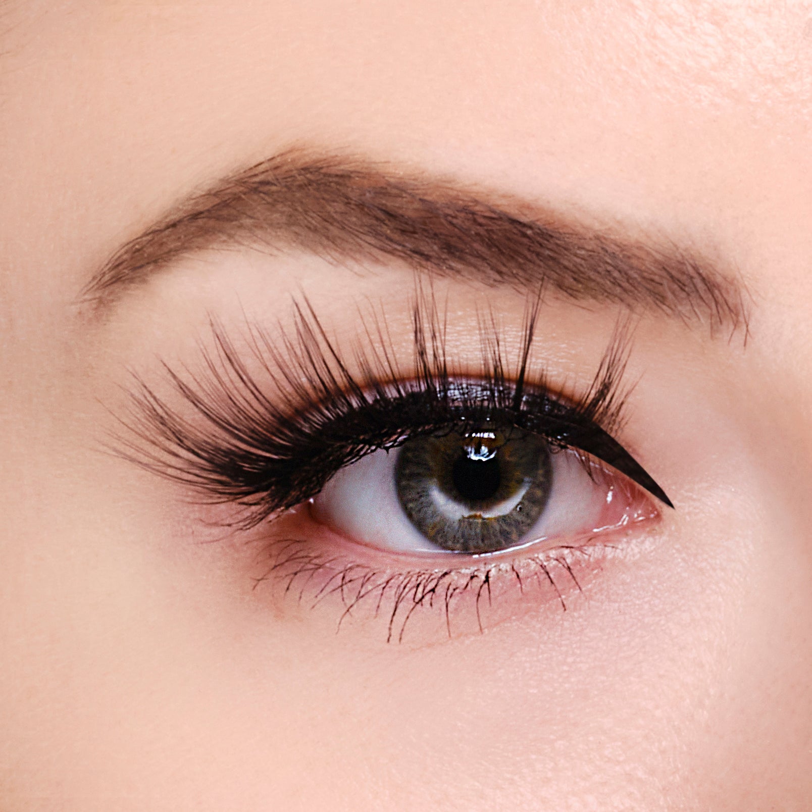 Synthetic Eyelashes - Monroe