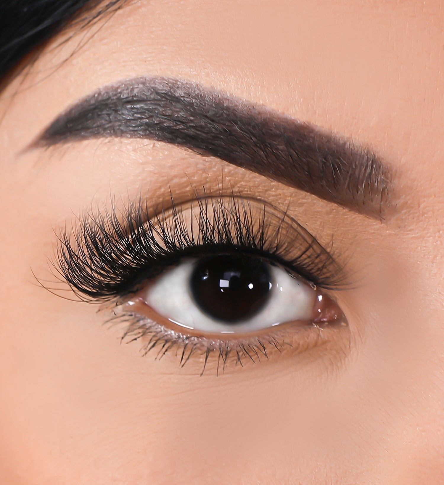 3D Mink - Rise - Lurella Cosmetics