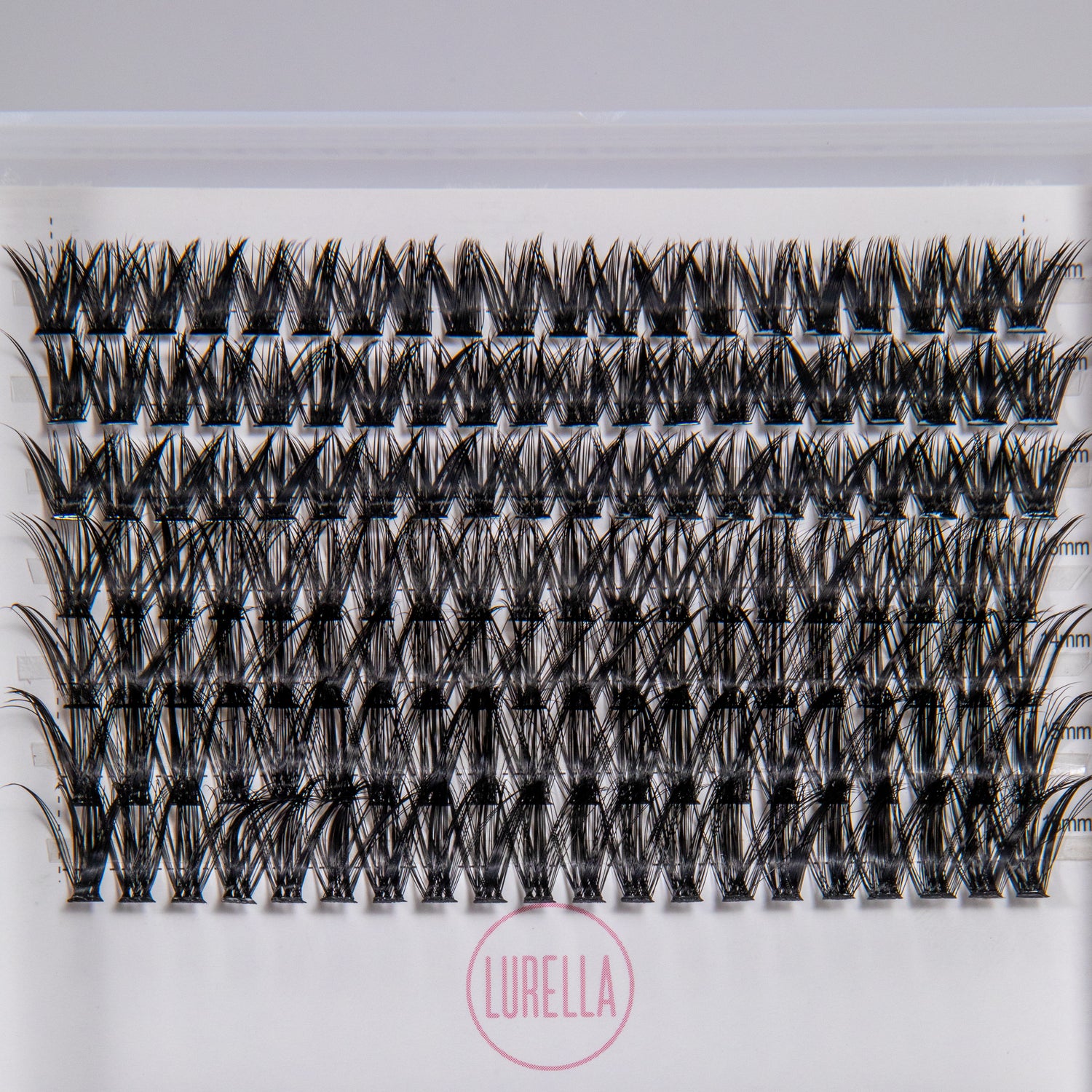 DIY Lash Cluster Kit
