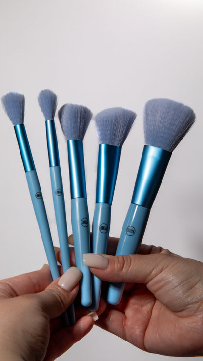 Precise Perfection Brush Set