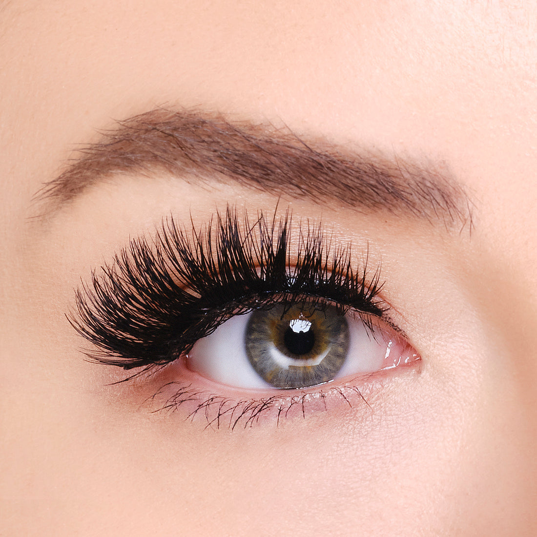 Mink Eyelashes - Phoebe